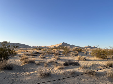 Sand dunes and brush in the Mojave Desert. Image by Kana Ishimaru