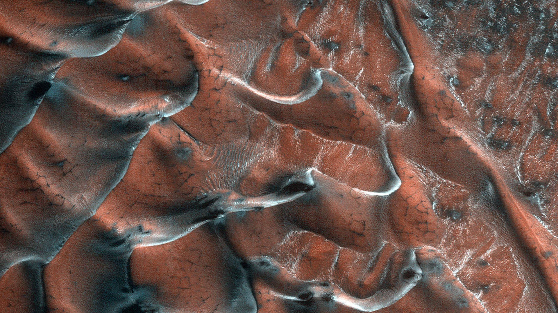 Mars Dunes