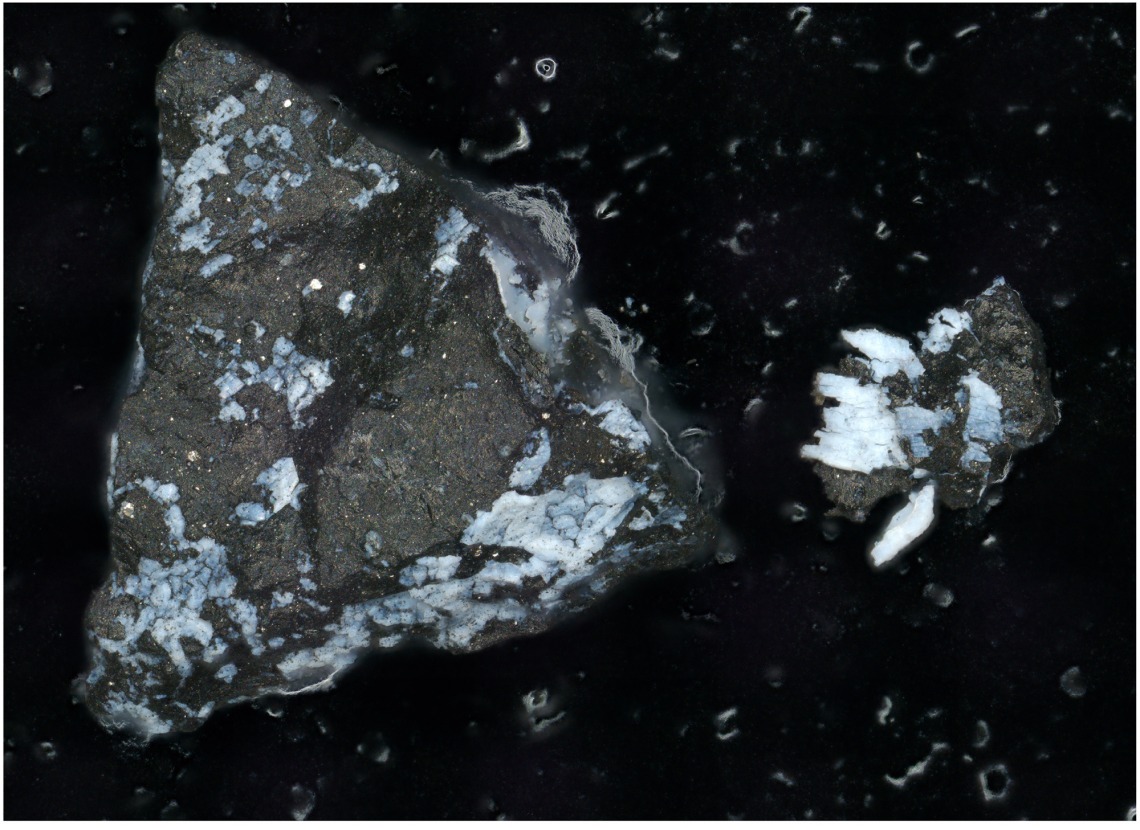 Microscope image of a dark Bennu particle