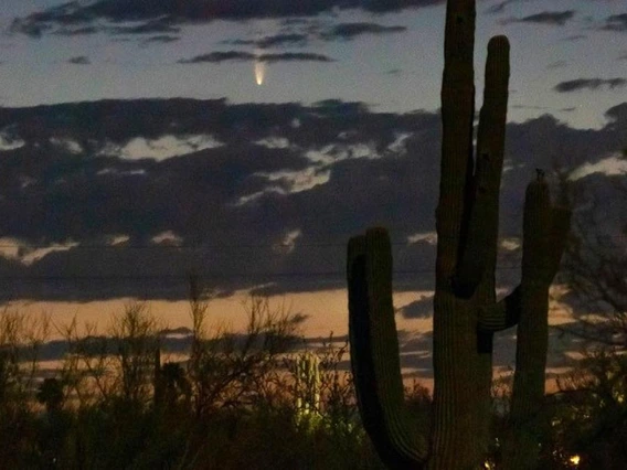 Comet NEOWISE captured on July 6, 2020 above the northeast horizon just before sunrise in Tucson. Viewers in the region can find the comet in the northeastern sky near the horizon between 4 and 4:30 a.m. until July 11, after which it will be visible in th